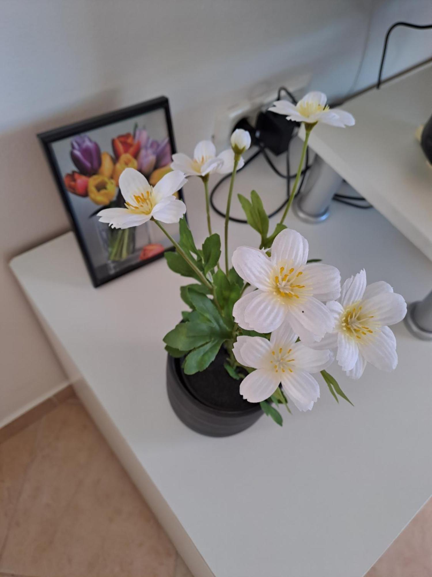 Apartman valbandon Fažana Buitenkant foto